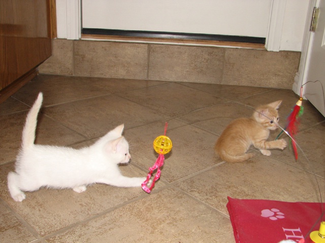 20100206 428.JPG